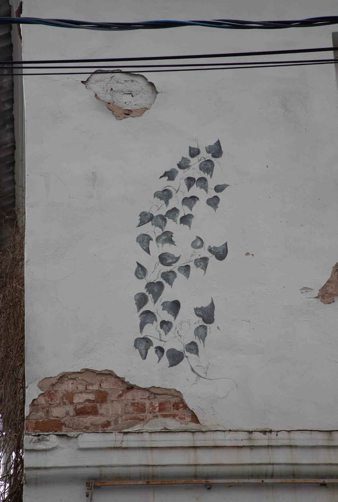 Улица Платонова. «ФотоСинтез»