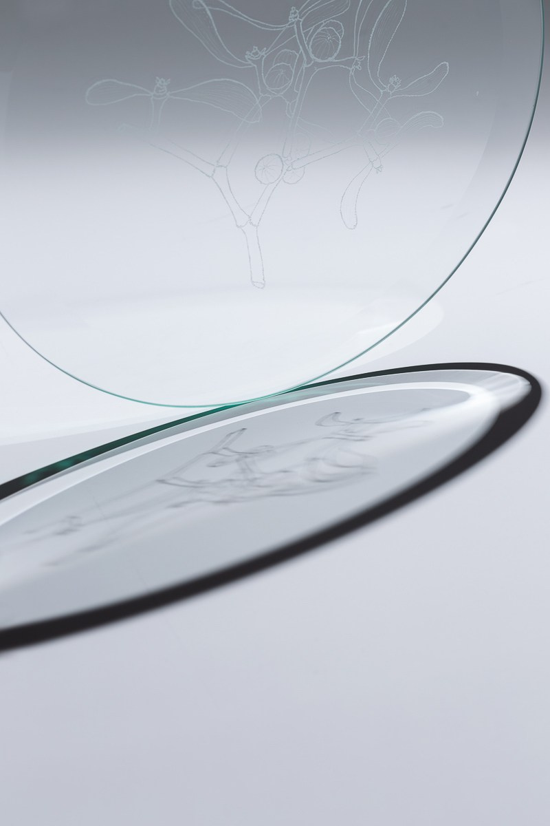 Exhibition. Alexey Bogolepov photography