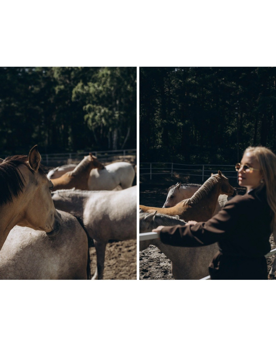 Портфолио. Контент-креатор | Кристина Щербакова