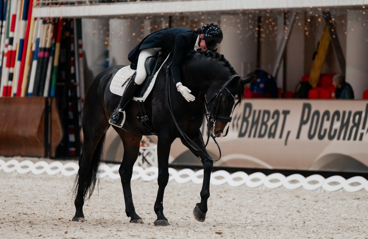 МЕЖДУНАРОДНЫЕ СОРЕВНОВАНИЯ по ВЫЕЗДКЕ КСК «Виват, Россия!». Куракина Дарья • Конный фотограф