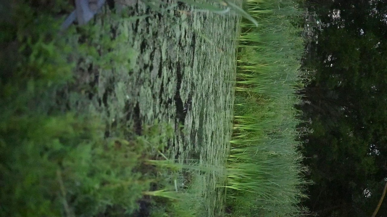 Отзывы. Фотограф Nati Gorbunova