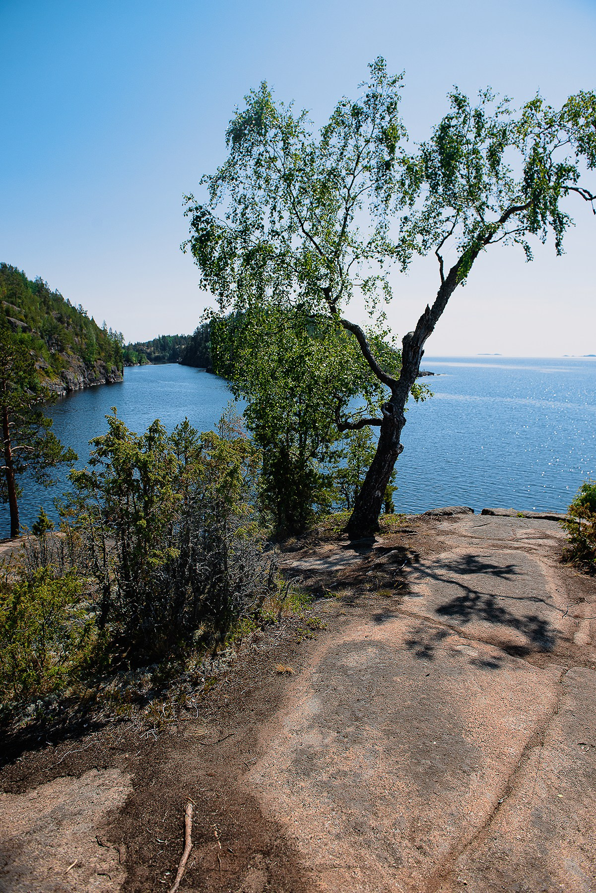 Карелия. Фотограф-анималист Наталья Светличная
