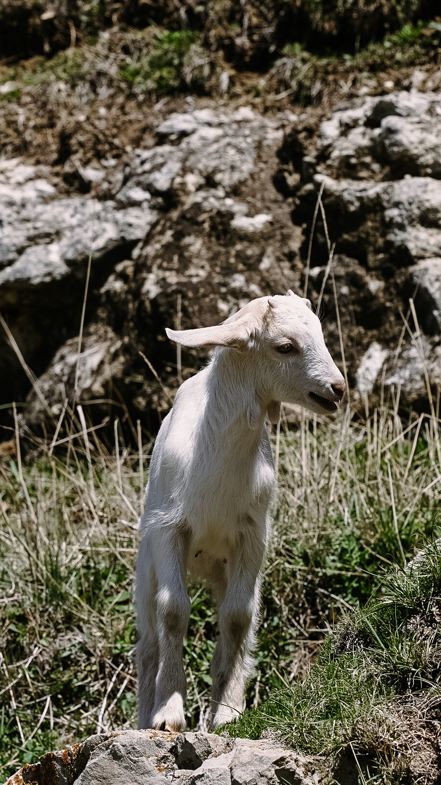 Дагестан 2021. Человек с фотокамерой