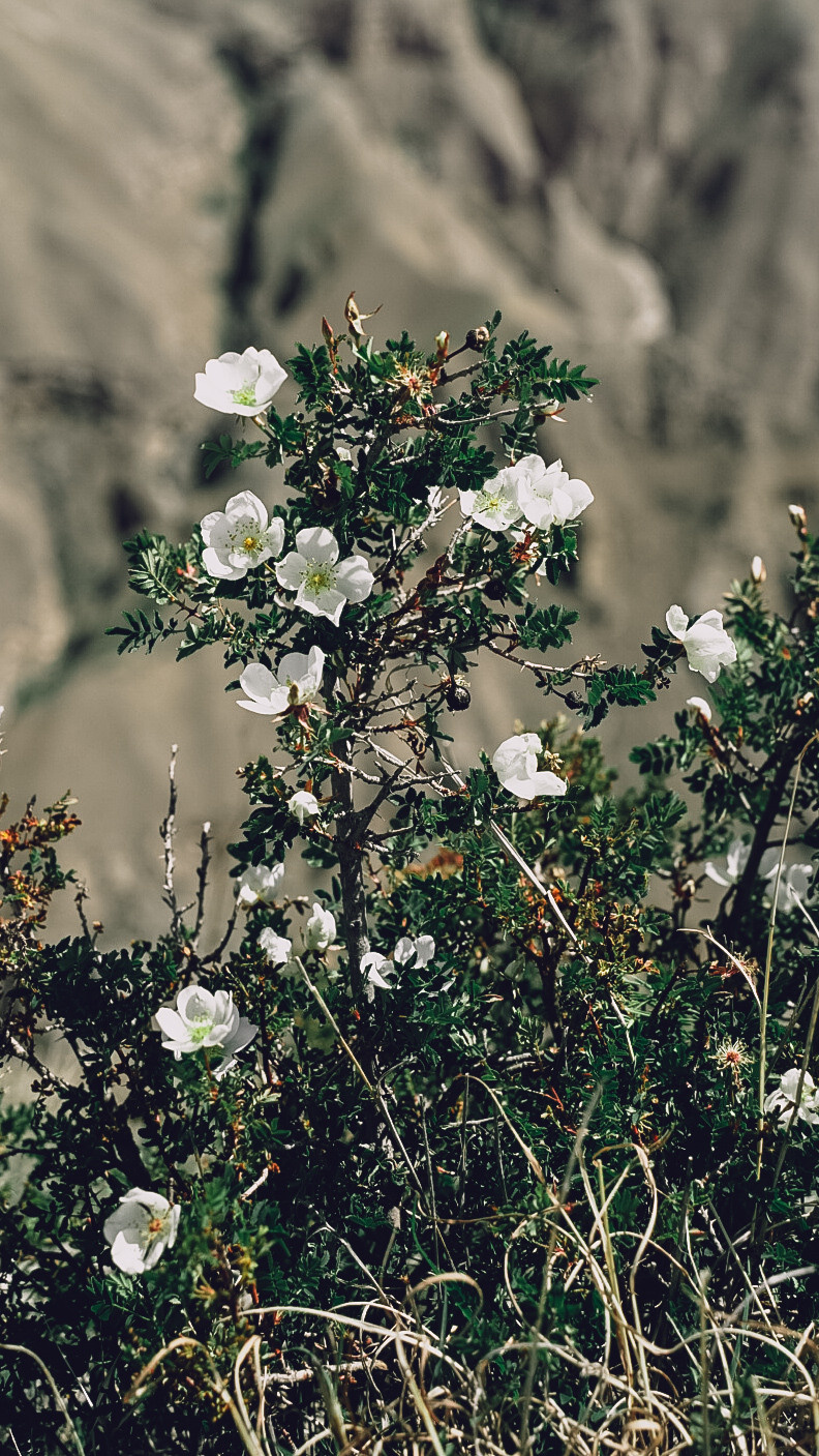 Дагестан 2021. Человек с фотокамерой