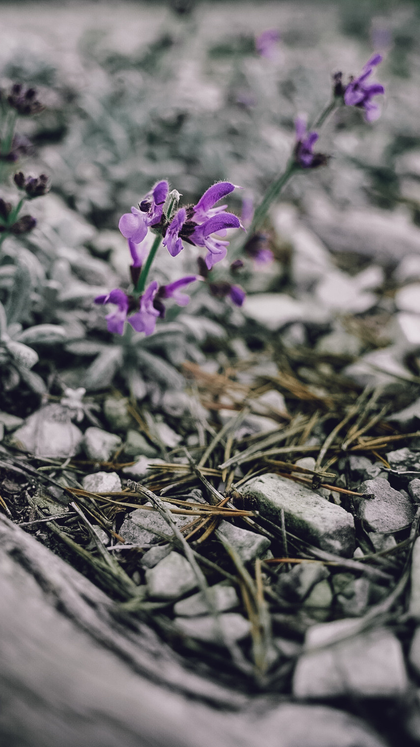 Дагестан 2021. Человек с фотокамерой