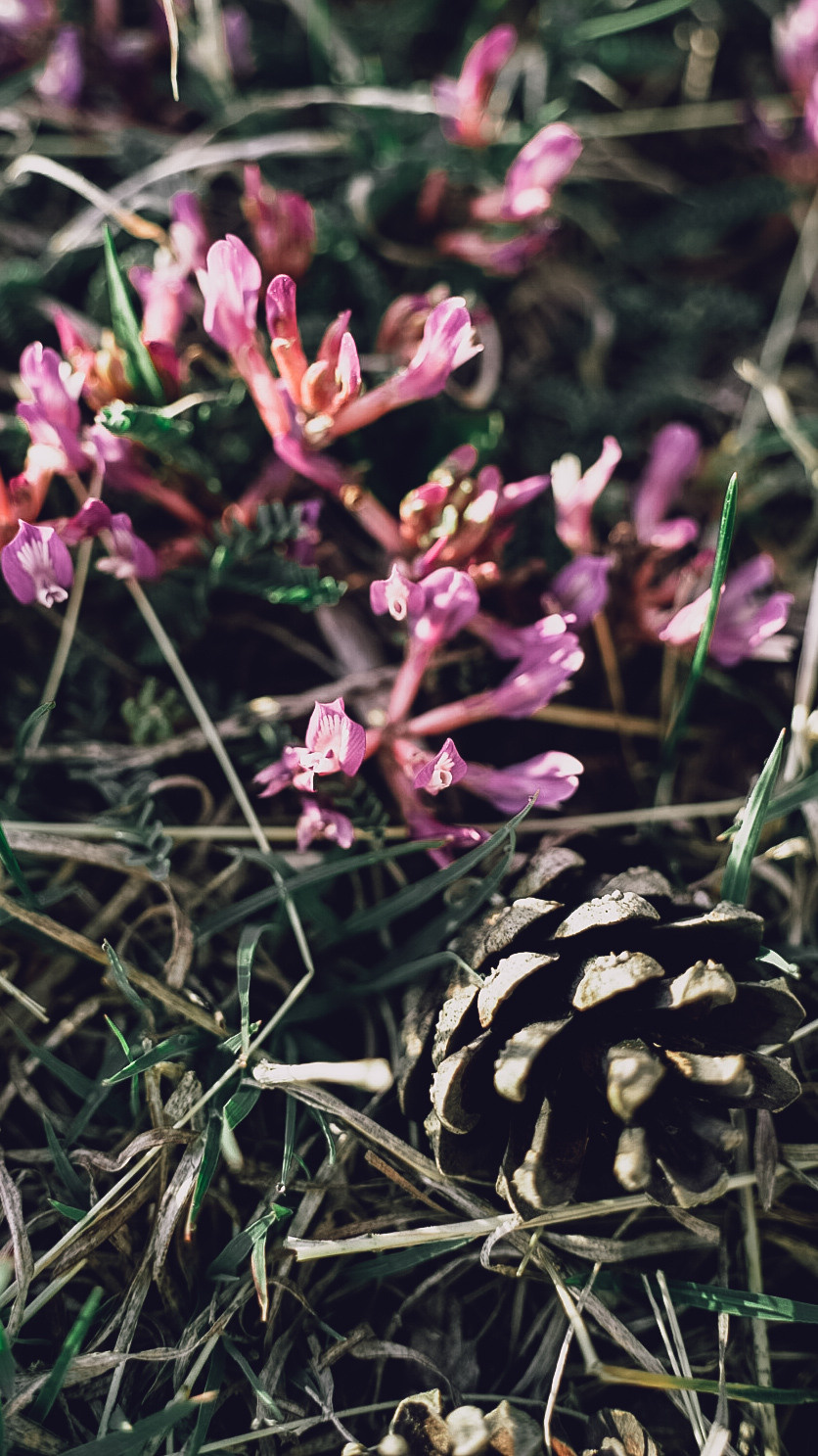 Дагестан 2021. Человек с фотокамерой