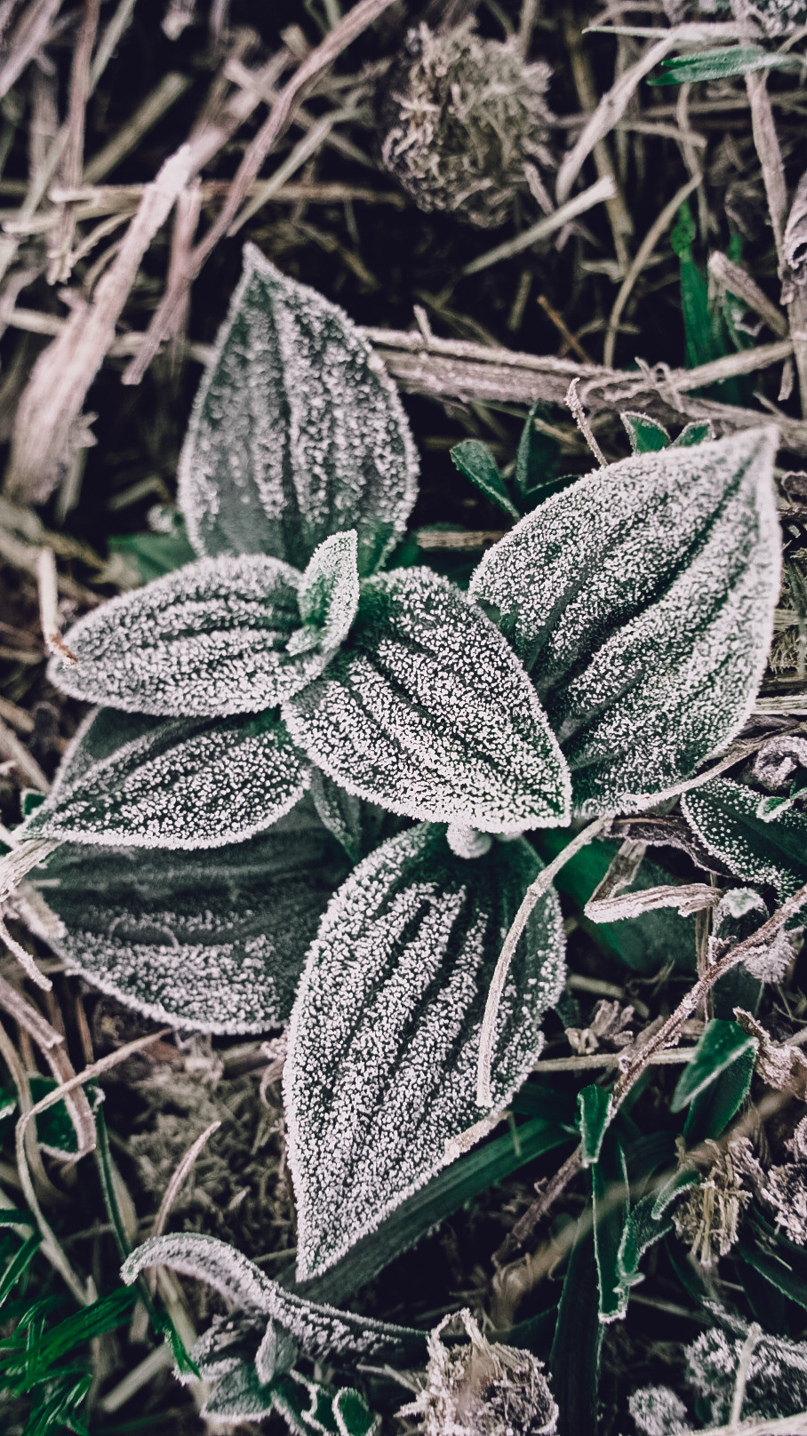 Дагестан 2021. Человек с фотокамерой