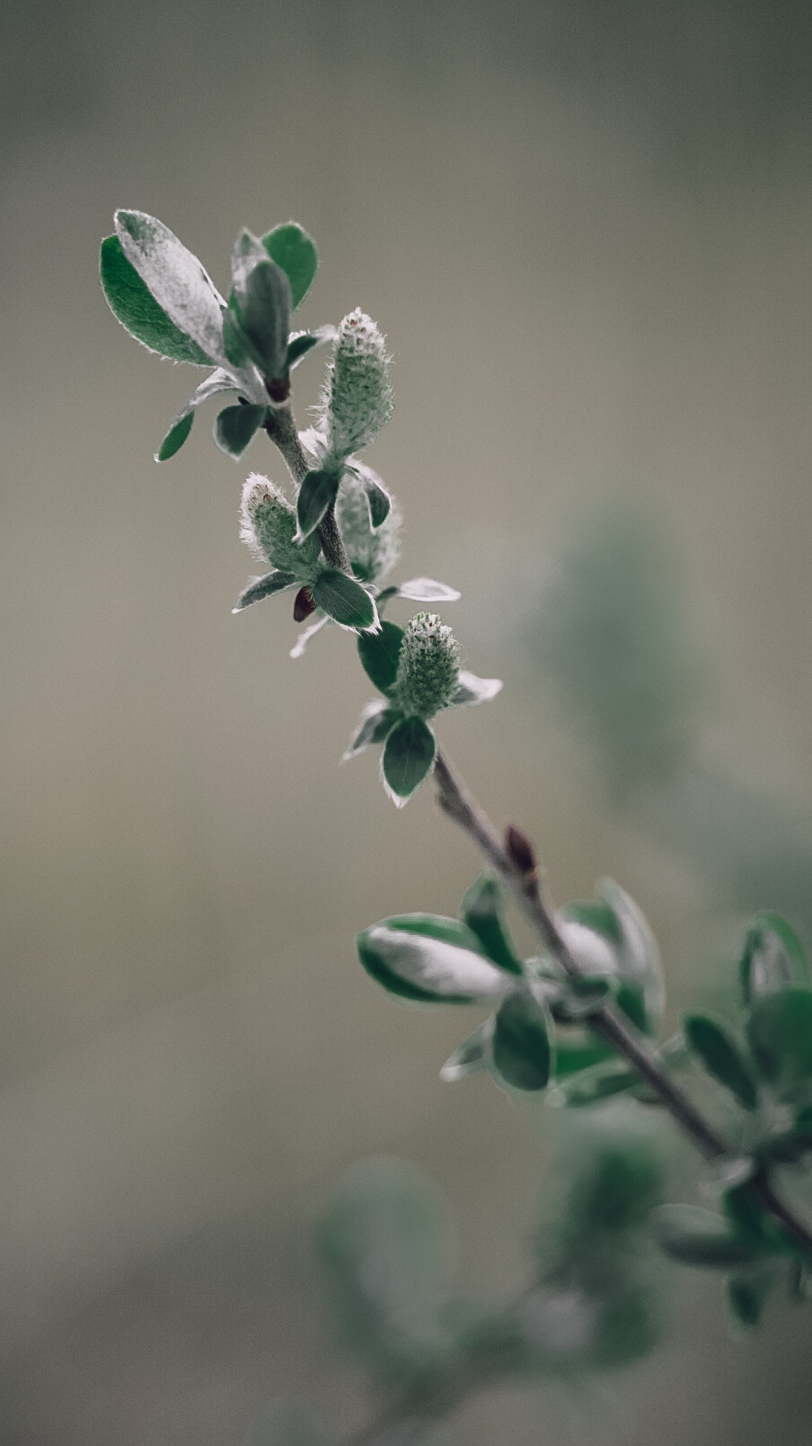 Дагестан 2021. Человек с фотокамерой