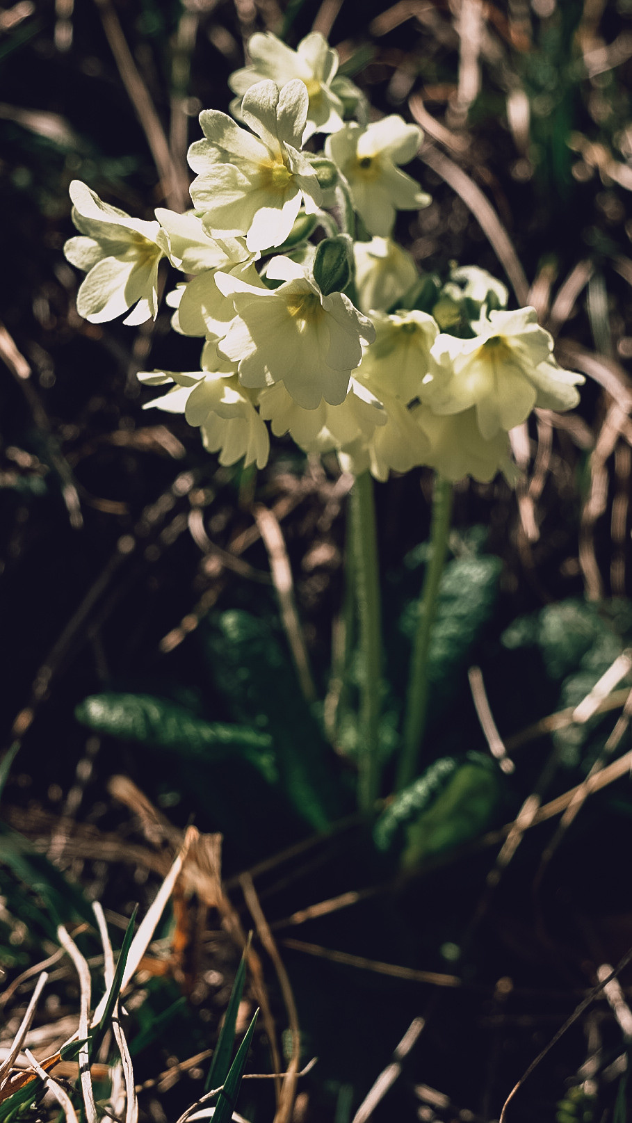 Дагестан 2021. Человек с фотокамерой