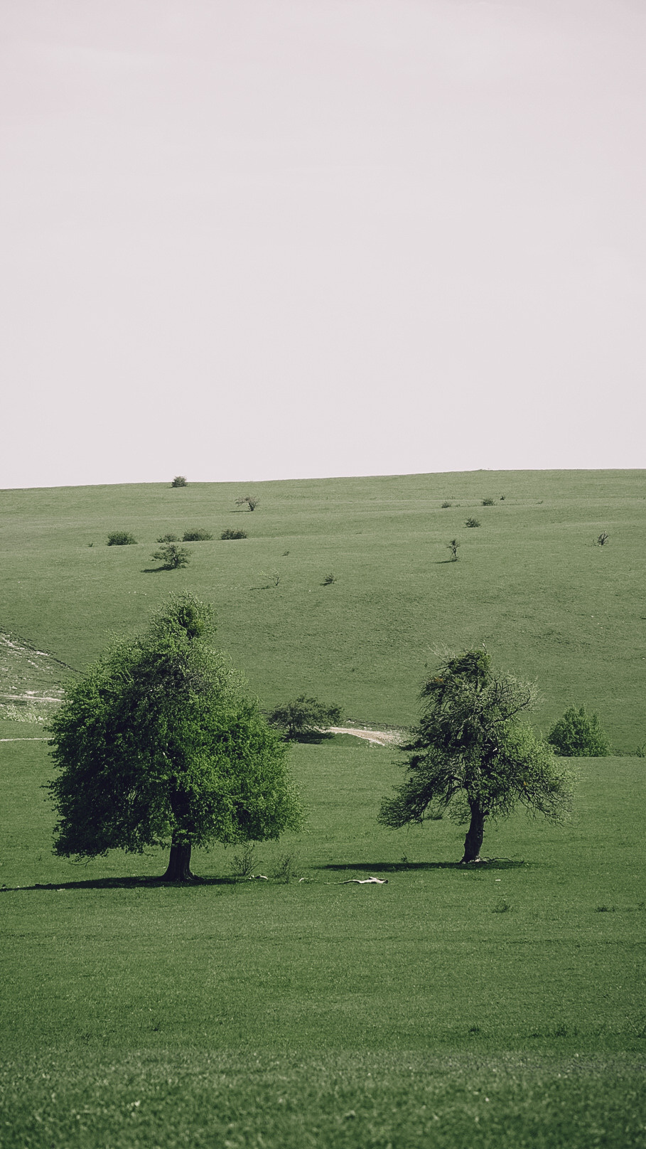 Дагестан 2021. Человек с фотокамерой