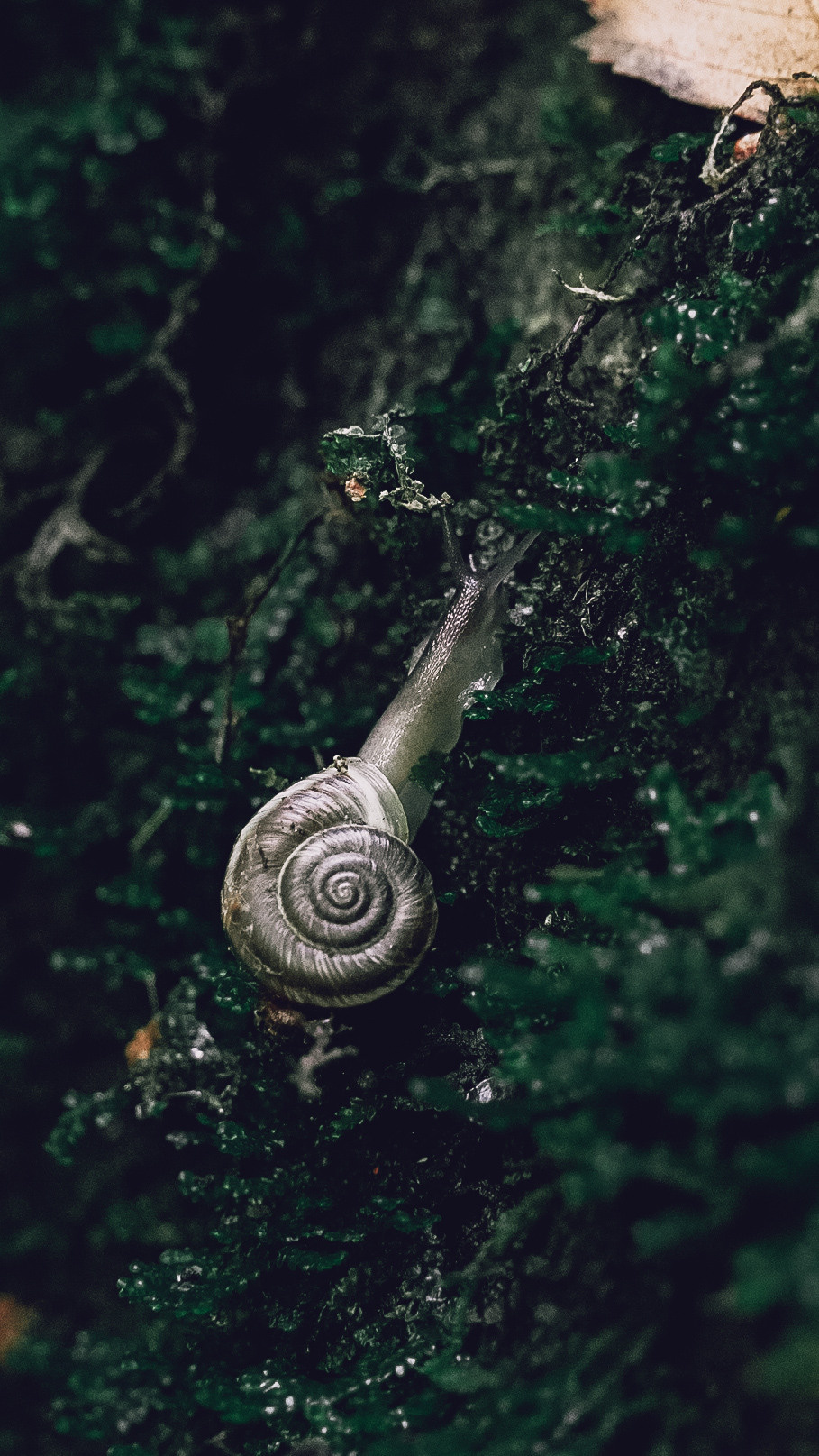 Дагестан 2021. Человек с фотокамерой