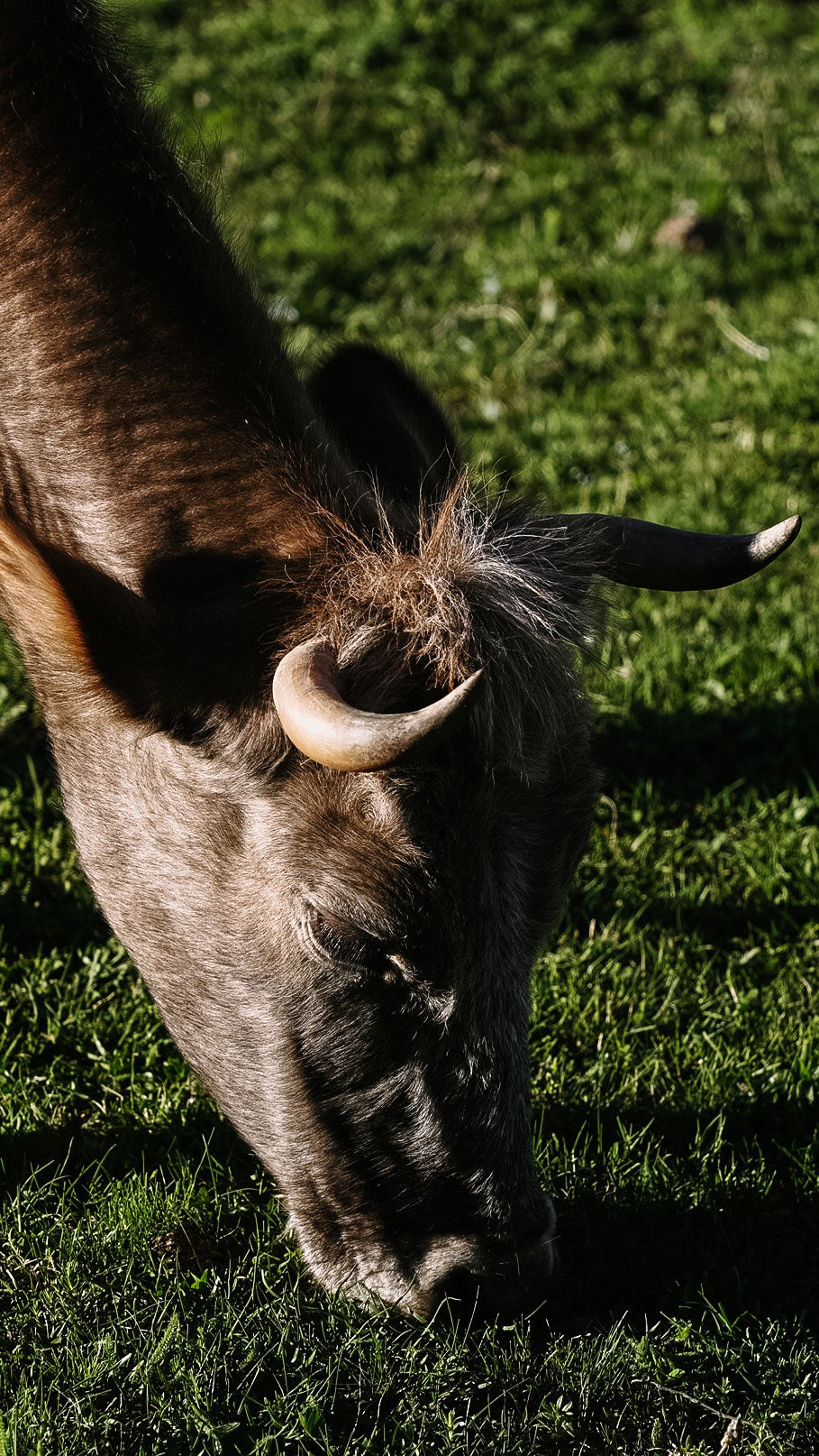 Дагестан 2021. Человек с фотокамерой