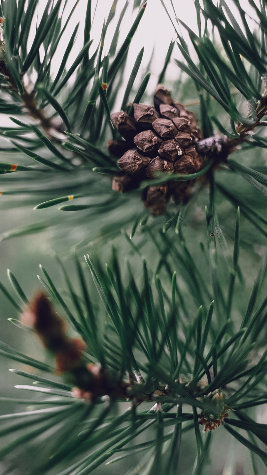 Дагестан 2021. Человек с фотокамерой