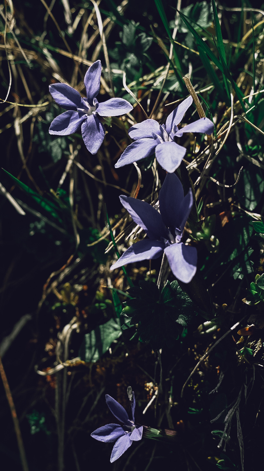 Дагестан 2021. Человек с фотокамерой