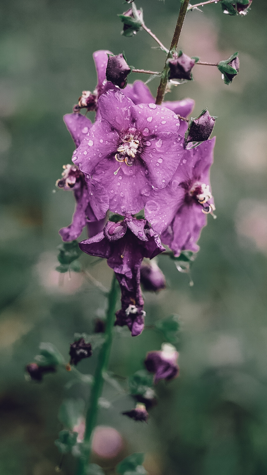 Дагестан 2021. Человек с фотокамерой