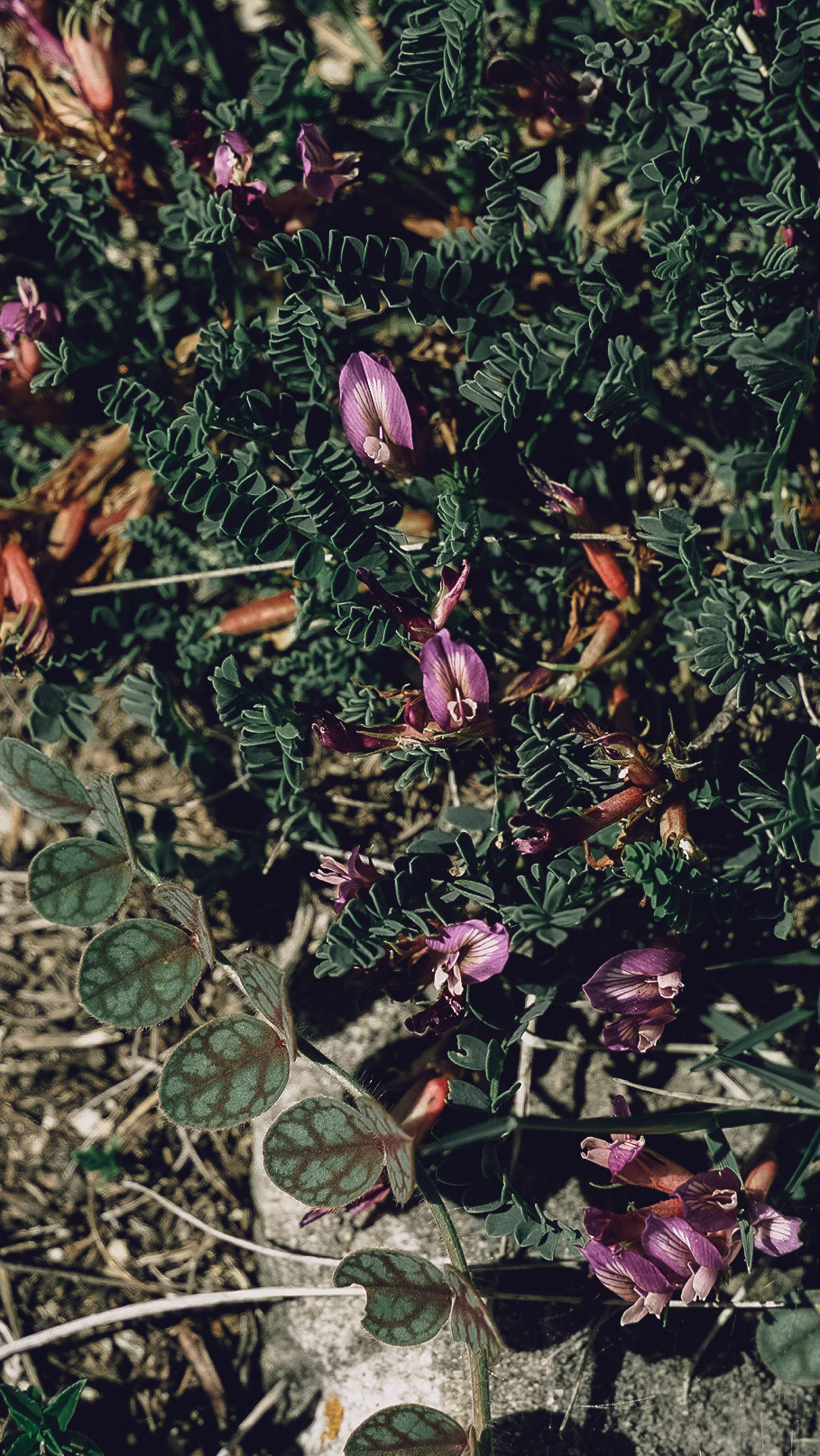 Дагестан 2021. Человек с фотокамерой