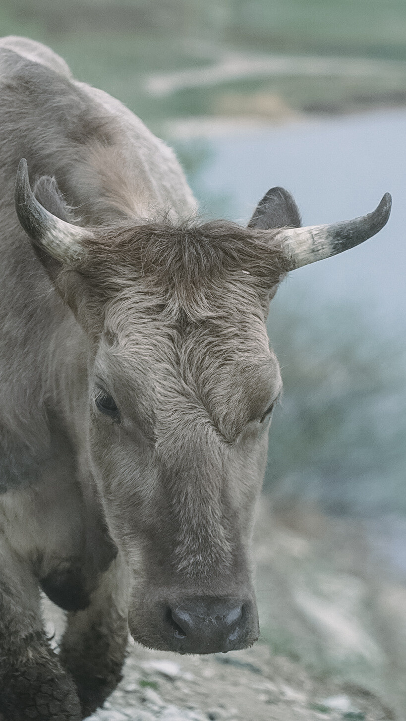 Дагестан 2021. Человек с фотокамерой