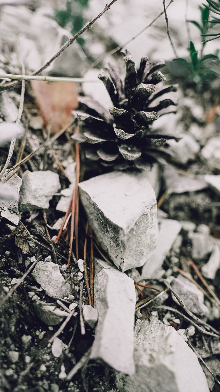 Дагестан 2021. Человек с фотокамерой