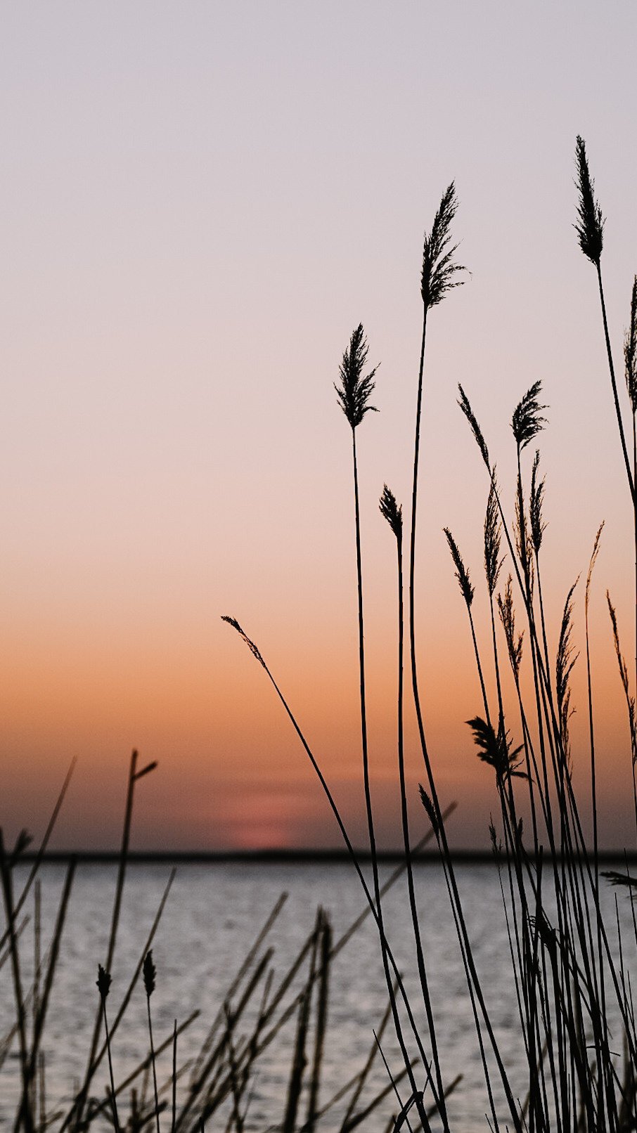 Дагестан 2021. Человек с фотокамерой