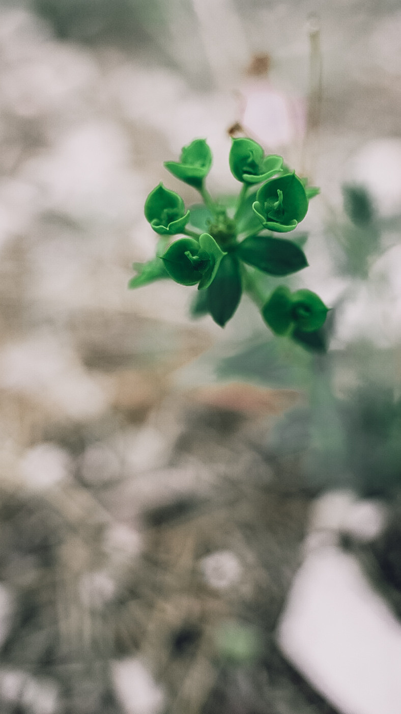 Дагестан 2021. Человек с фотокамерой