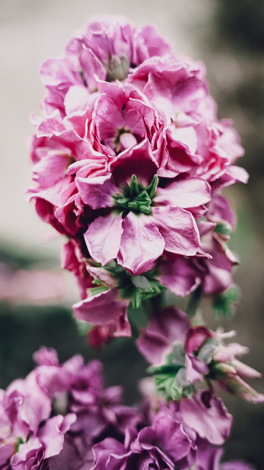 Дагестан 2021. Человек с фотокамерой