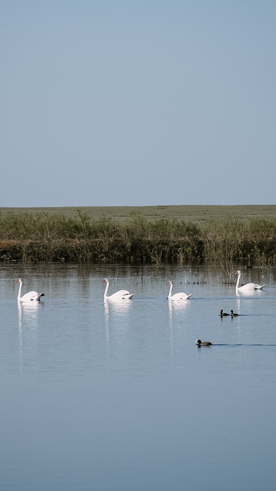 Дагестан 2021. Человек с фотокамерой
