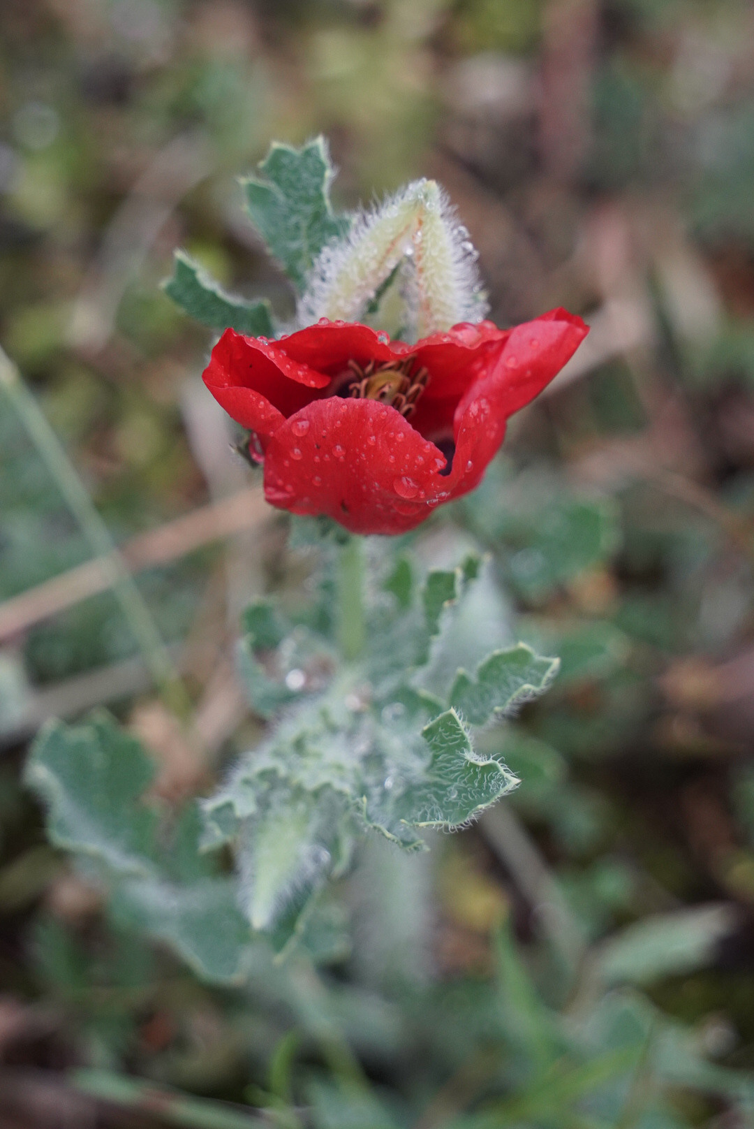 Дагестан 2021. Человек с фотокамерой