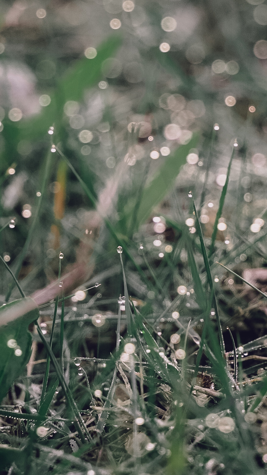 Дагестан 2021. Человек с фотокамерой