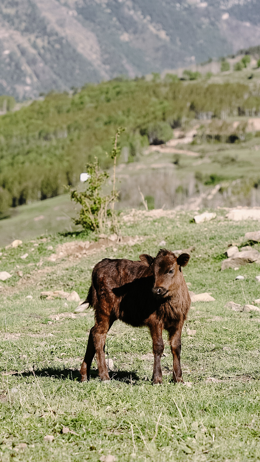 Дагестан 2021. Человек с фотокамерой