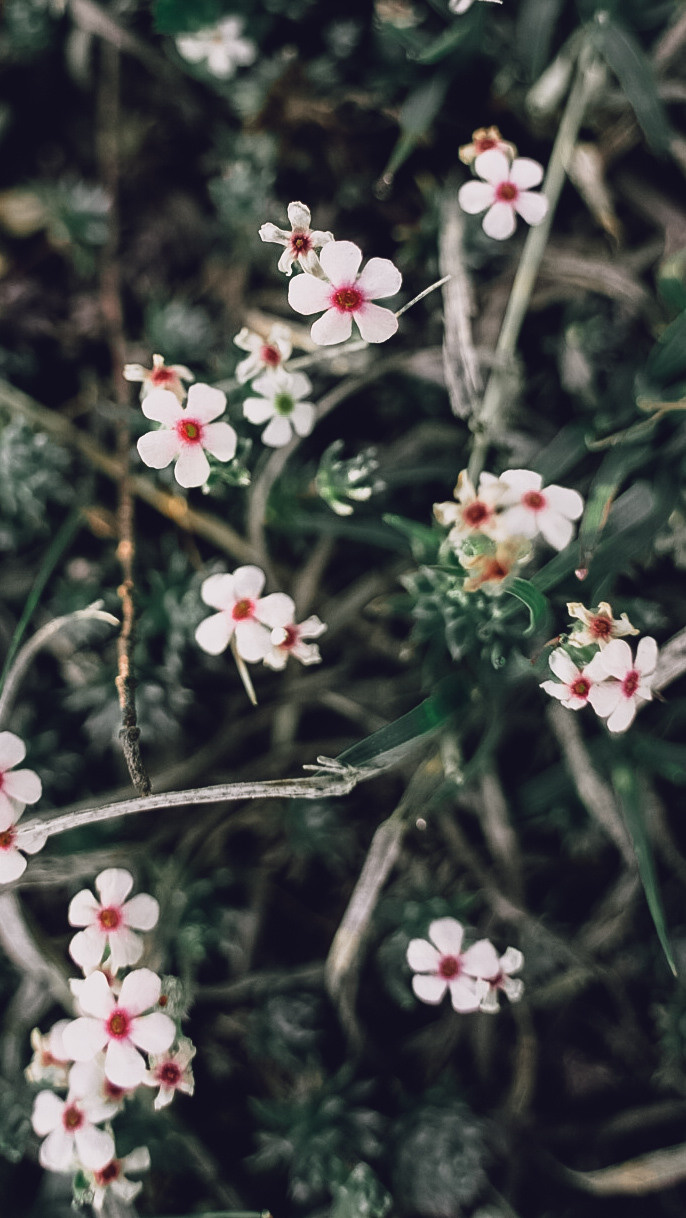 Дагестан 2021. Человек с фотокамерой