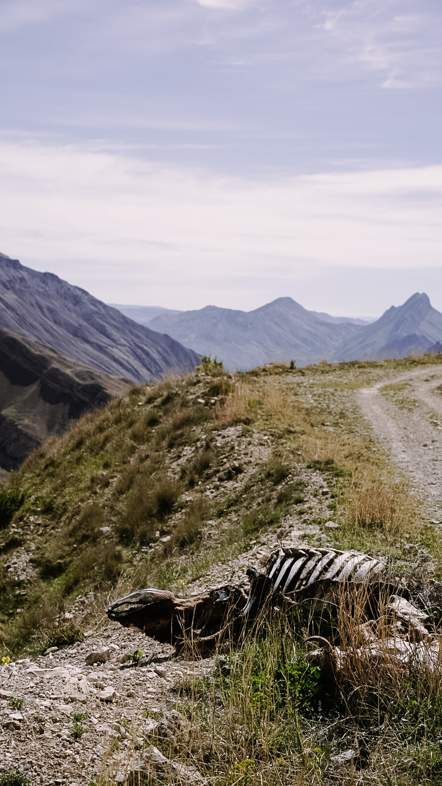 Дагестан 2021. Человек с фотокамерой