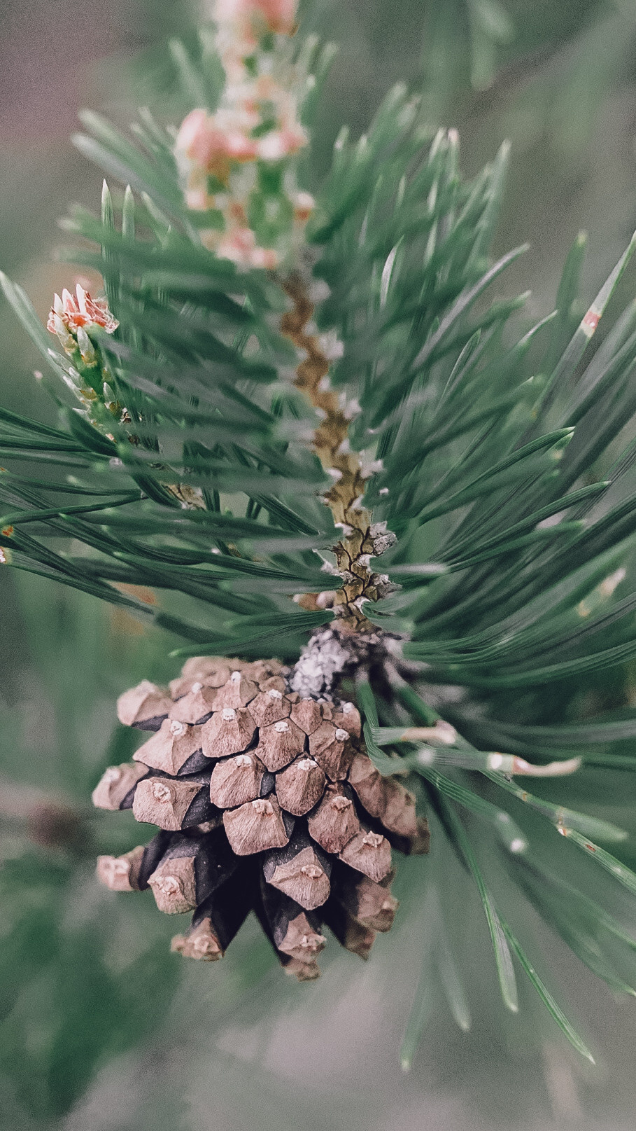 Дагестан 2021. Человек с фотокамерой