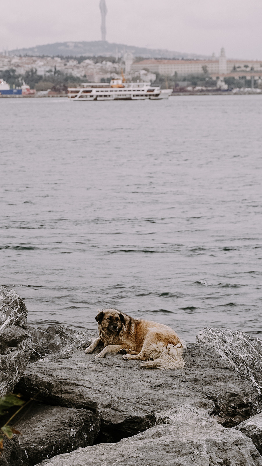 9×16 Стамбул. Человек с фотокамерой