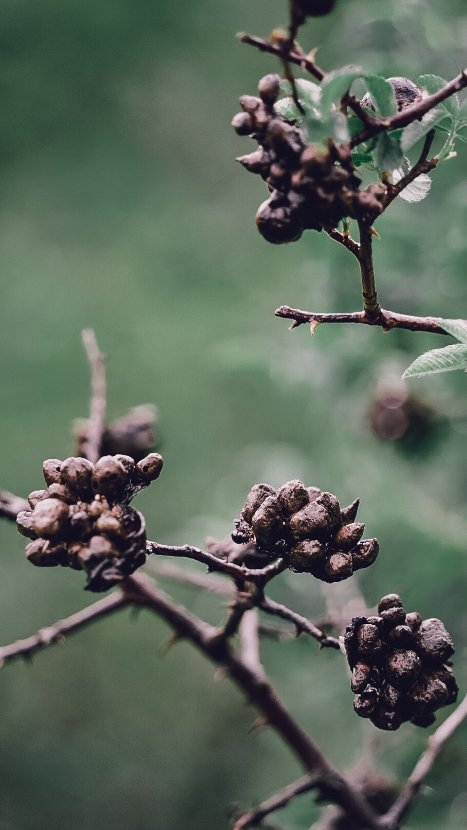 Дагестан 2021. Человек с фотокамерой