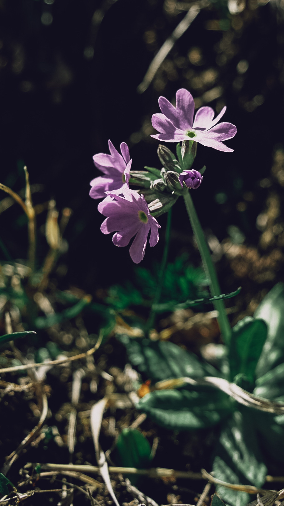 Дагестан 2021. Человек с фотокамерой