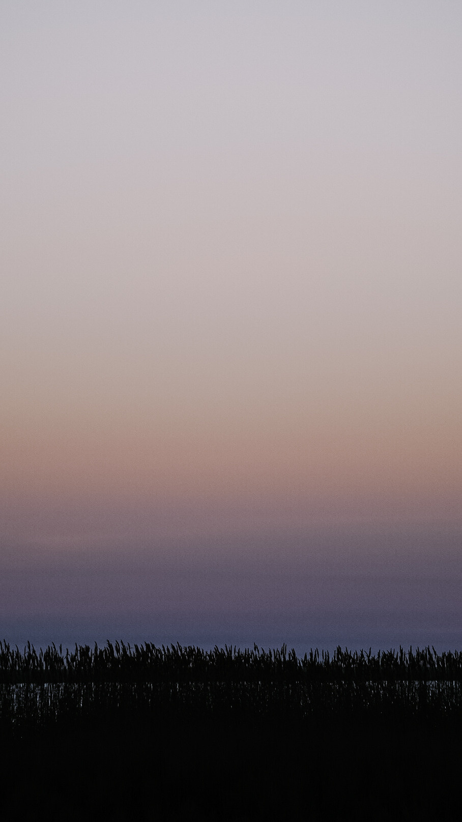 Дагестан 2021. Человек с фотокамерой