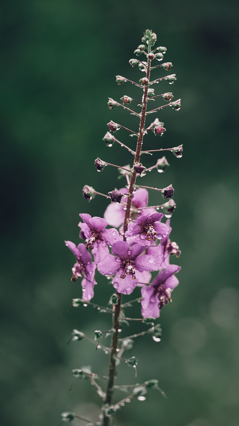 Дагестан 2021. Человек с фотокамерой