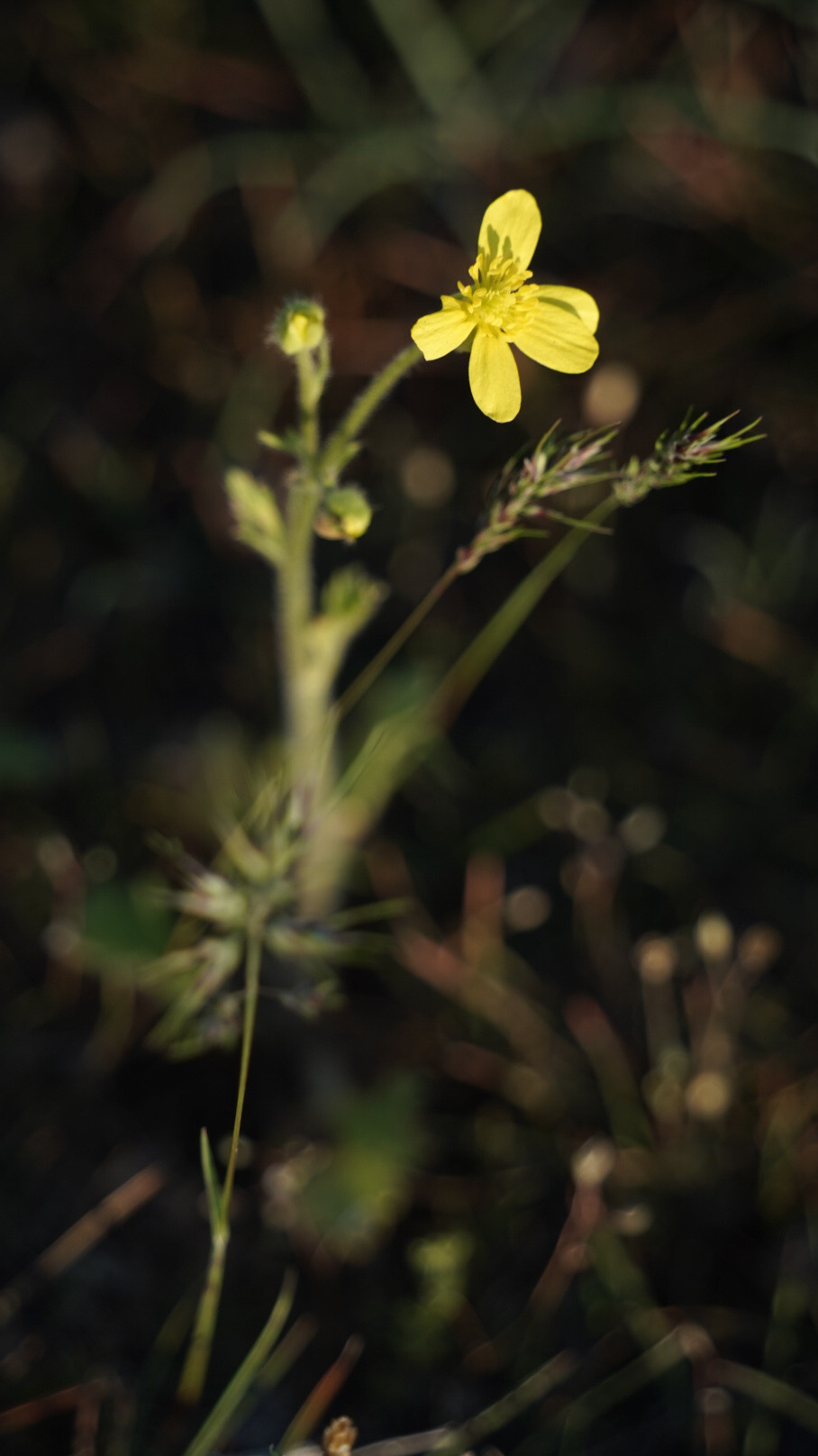Дагестан 2021. Человек с фотокамерой