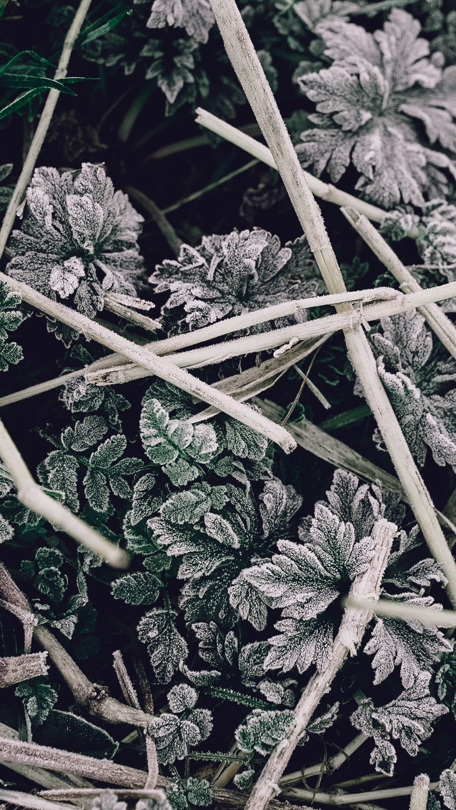 Дагестан 2021. Человек с фотокамерой