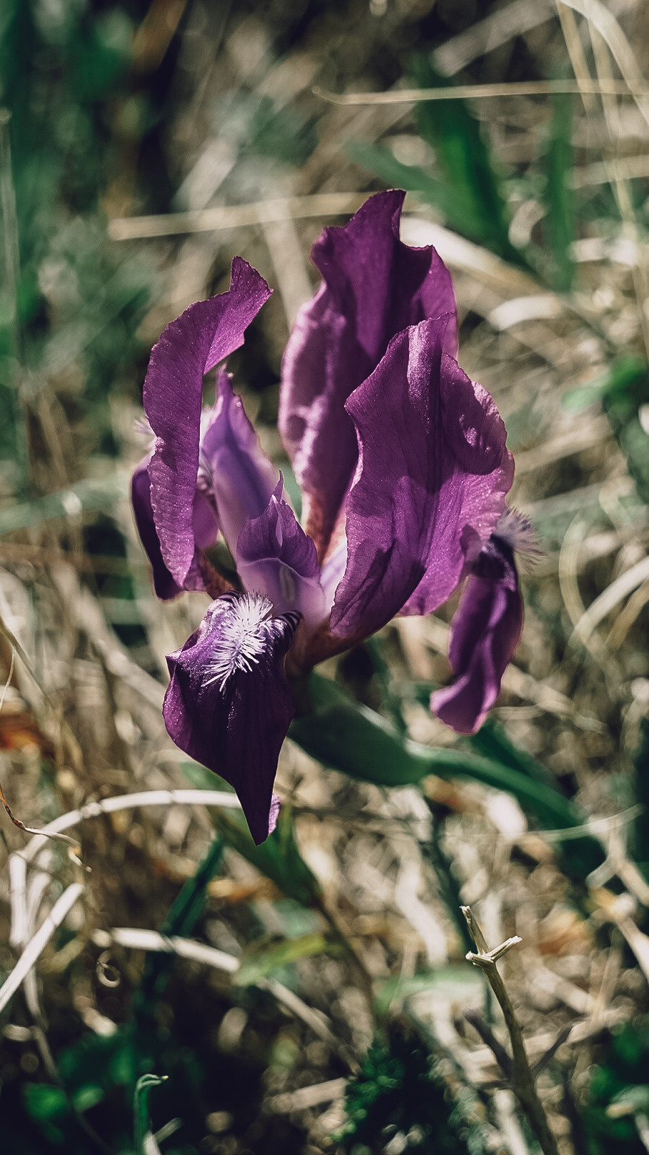Дагестан 2021. Человек с фотокамерой