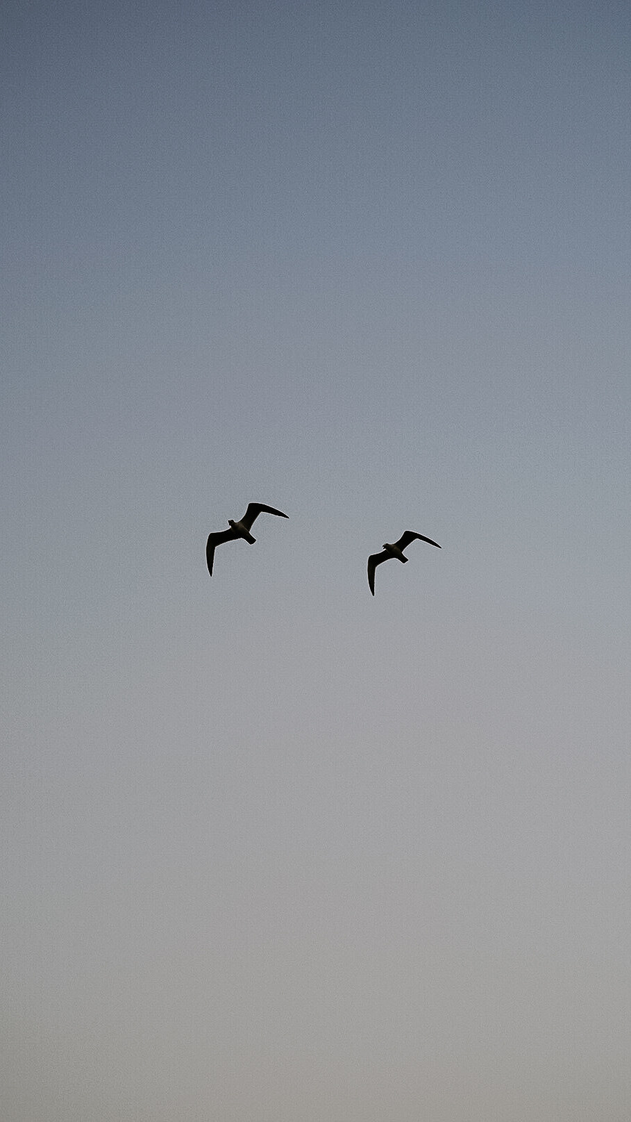 9×16 Стамбул. Человек с фотокамерой