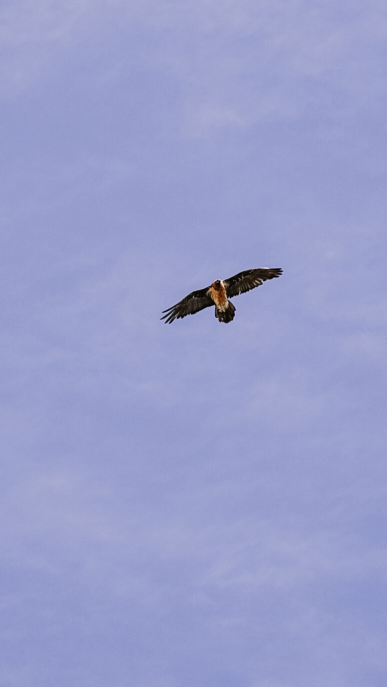 Дагестан 2021. Человек с фотокамерой