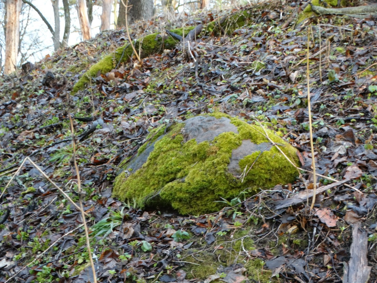 «Весенний переполох» Загородный выезд | 16-17.04.2016. Галерея Фантим