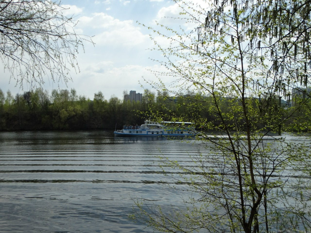 Шашлыки | 01.05.2016. Галерея Фантим