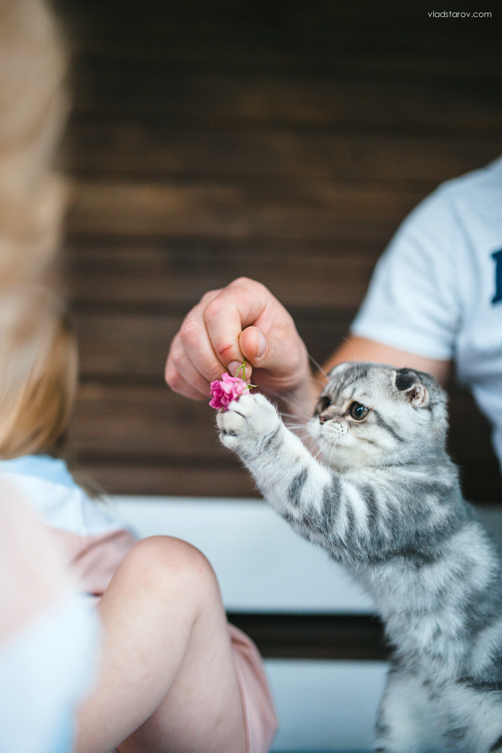 Братья наши меньшие. Детский, семейный и школьный фотограф Смоленск Москва Влад Старов