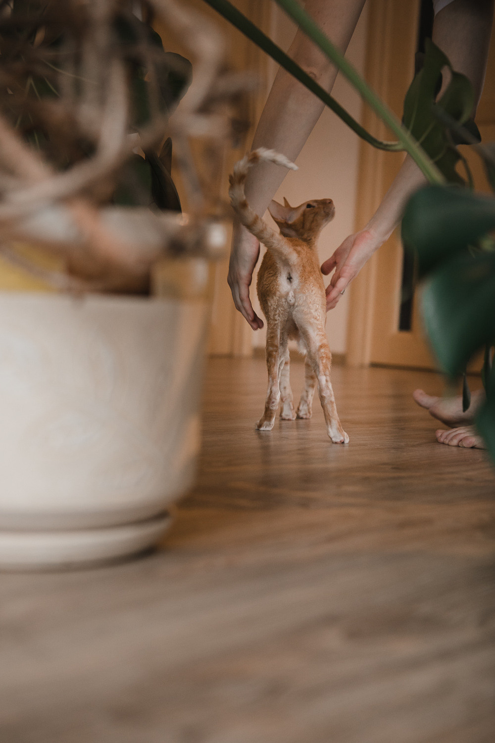 В гостях у Вовы и Юли. Детский, семейный и школьный фотограф Смоленск Москва Влад Старов