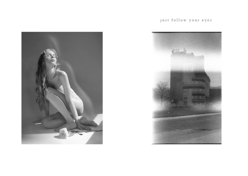 See into the trees — zine. Pictorial dream — fine art fil photography by Yaroslav Pavlov