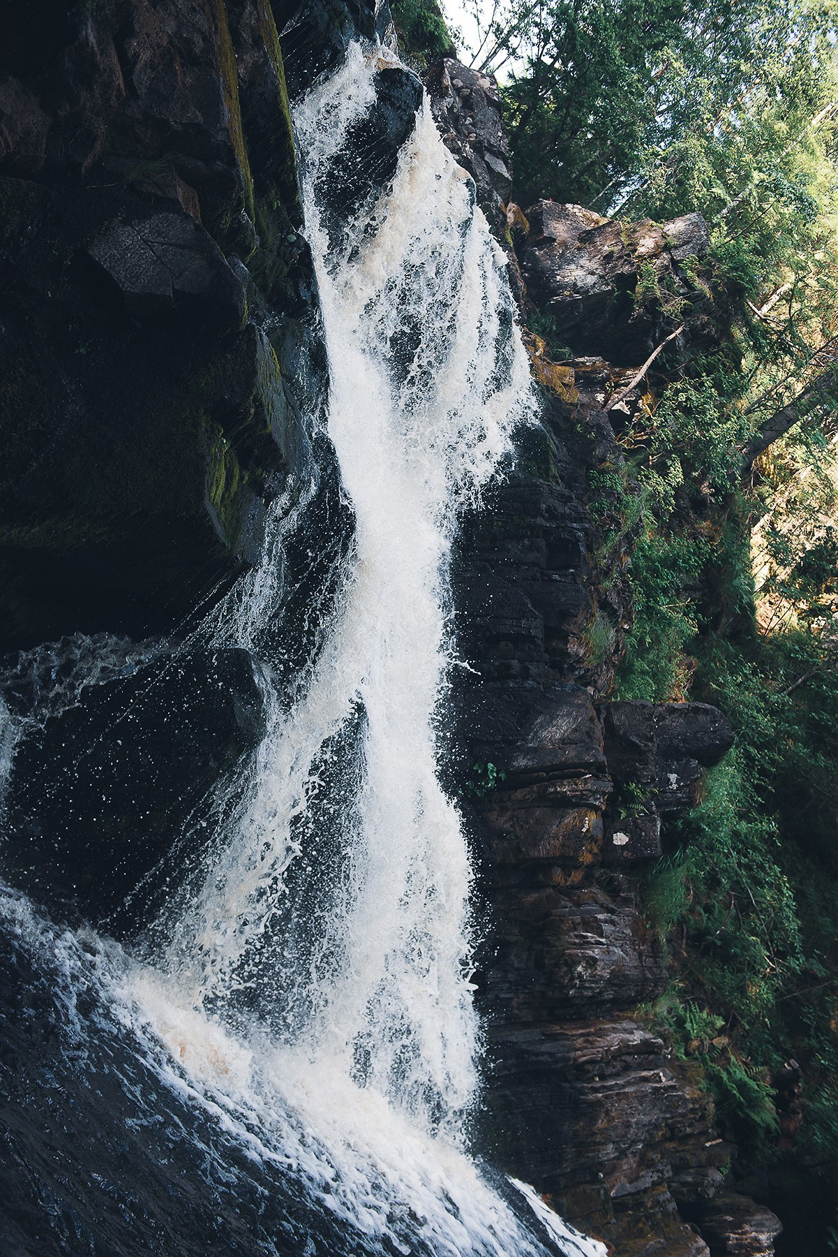 Карелия. Фотограф-анималист Наталья Светличная