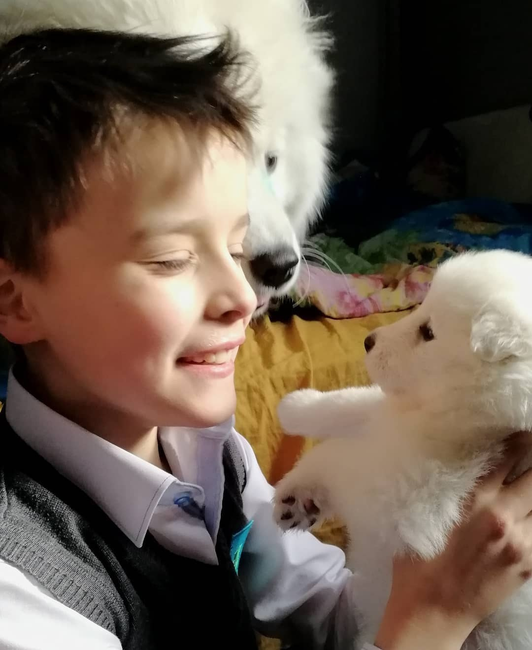 Anka`s Instagram. Заставка