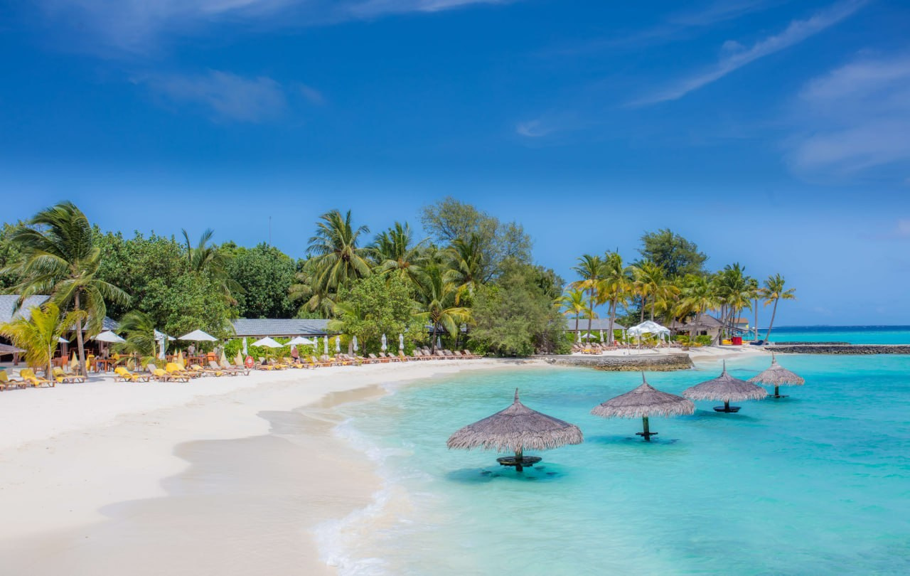 Мальдивы для взрослых девочек. Ароматестирование по методу Аромакод и Нейростатус в Санкт-Петербурге